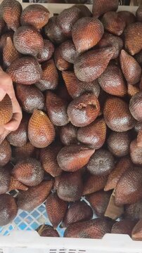 Fresh exotic snake fruit harvested from tropical orchards displayed in local marketplace bins for hungry shoppers to purchase during their daily grocery shopping routine in Southeast Asia