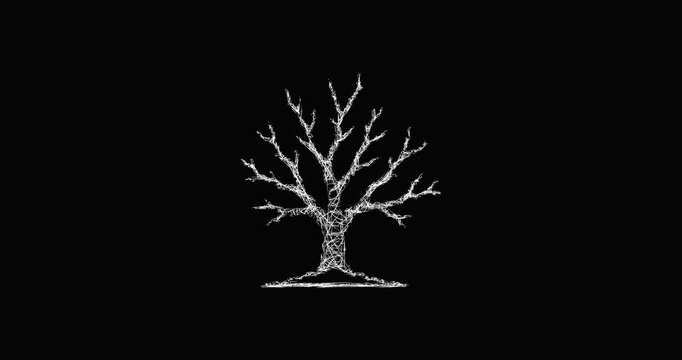 Sketch winter tree icon animation - smooth progressive reveal