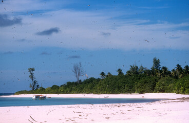 Seychelles © JAG IMAGES