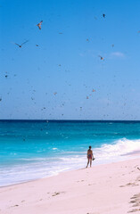 Seychelles © JAG IMAGES