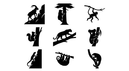 Obraz premium Set of climbing and tree dwelling animal silhouettes including monkey and koala and sloth and leopard and squirrel in black graphic style isolated on white background for jungle and wildlife design