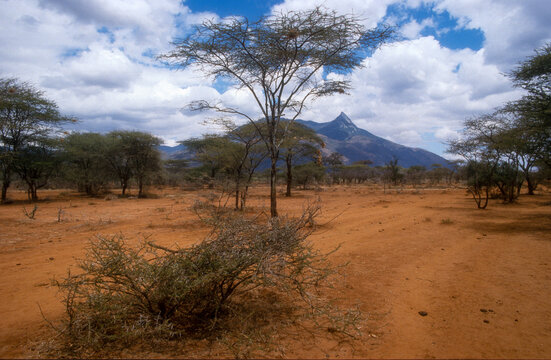 Tanzanie