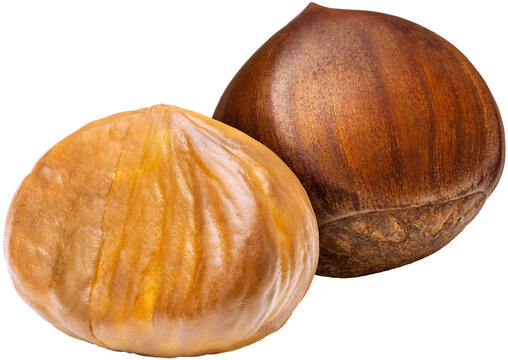 Freshly roasted chestnuts with cracked shells, isolated on a white background, with png file, Perfect visual for healthy snack marketing, gourmet food recipes.