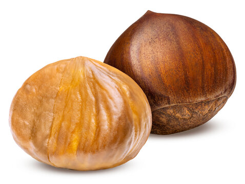 Freshly roasted chestnuts with cracked shells, isolated on a white background, with clipping path, Perfect visual for healthy snack marketing, gourmet food recipes.