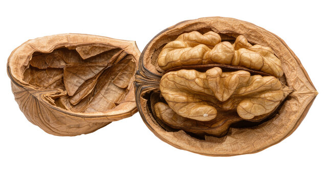 Opened walnut with kernel and empty shell halves, isolated on transparent background