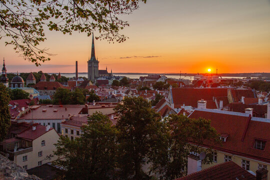 Golden sunrise over medieval Tallinn old town rooftops and the gothic St. Olaf church spire, capturing a scenic panoramic cityscape view from Toompea in Estonia.