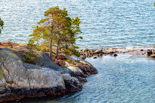 Scenic view of a rocky granite skerry island with pine trees growing on cliffs along the calm Baltic Sea coast in the Stockholm archipelago, Sweden.