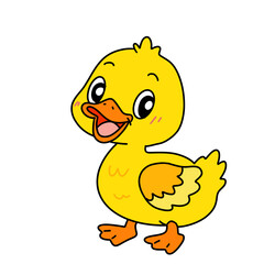 Fototapeta premium duckky