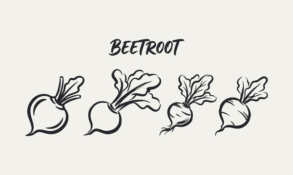 Hand drawn beetroot sketches with leaves in black ink vector style on neutral background