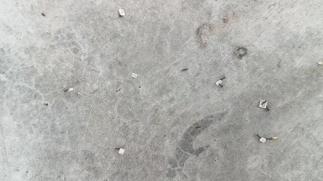 Black ants are carrying grains of white sugar across the floor. Crowding around a central mound of sweet sugar to carrying individual transparent grains across the floor.