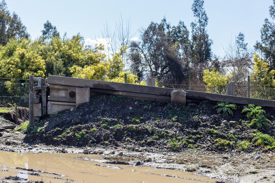 A broken concrete bridge in Angol, Chile tilts downward over muddy ground, surrounded by dense vegetation and clear daylight