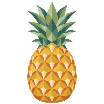 Geometric pineapple