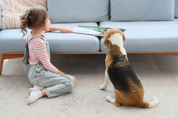 Fototapeta premium Cute little girl with Beagle dog reading book near sofa in living room