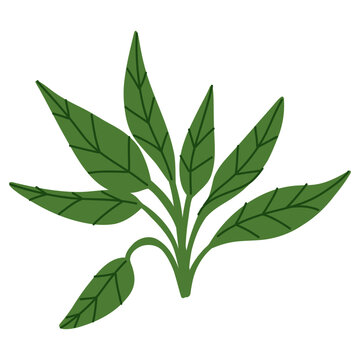 Stylized tropical leafy branch with elongated pointed green leaves for botanical illustration, textile design, packaging, stationery, wall art and natural interior decor