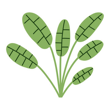 Tropical plant illustration with elongated oval leaves and delicate stems for botanical decor, textile design, stationery, packaging, nursery interiors and nature themed artwork