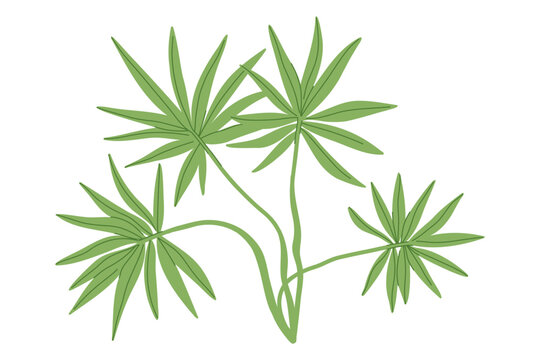 Stylized tropical foliage illustration with long narrow green leaves and branching stems for botanical decor, textile design, stationery, packaging and exotic nature projects