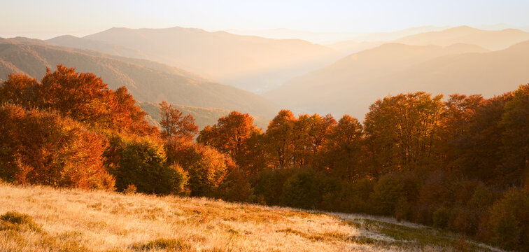 Golden mountain meadow bordered by vivid orange trees with layered forested ridges beyond. Warm autumn sunlight creates a tranquil rural landscape
