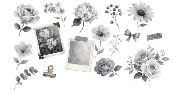 Watercolor Vintage Black and White Floral Scrapbook Elements Isolated on White Background