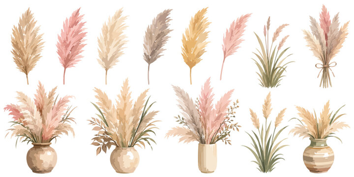 Watercolor Boho Pampas Grass and Floral Arrangement Set Isolated on White Background