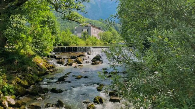 Mountain river with rushing rapids and small cascades in Lofer, Austria, surrounded by lush green forest and Alpine mountains. Peaceful summer nature landscape with flowing water.