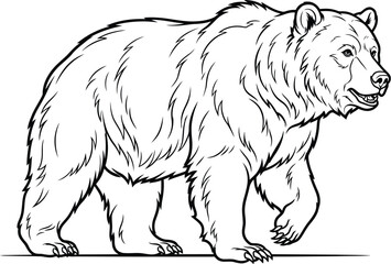 Obraz premium polar bear vector illustration