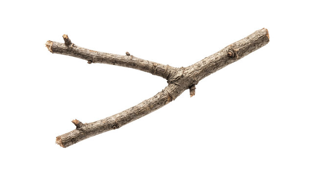 Natural wooden branch with fork, dry brown tree twig, organic timber stick for rustic decor and craft projects isolated PNG with Transparent Background