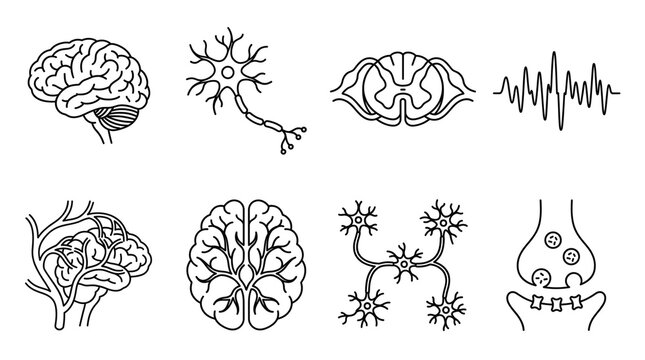 Set of hand drawn neuroscience icons featuring human brain anatomy and neural network connections