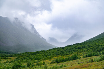 Fototapeta premium Beautiful low clouds covering a mountain valley. A seasonal scenery of World Heritage area in Western Norway.