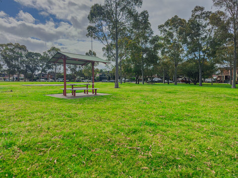 Flora along the shores of Cooks river in Canterbury Sydney NSW Australia on a beautiful Spring afternoon