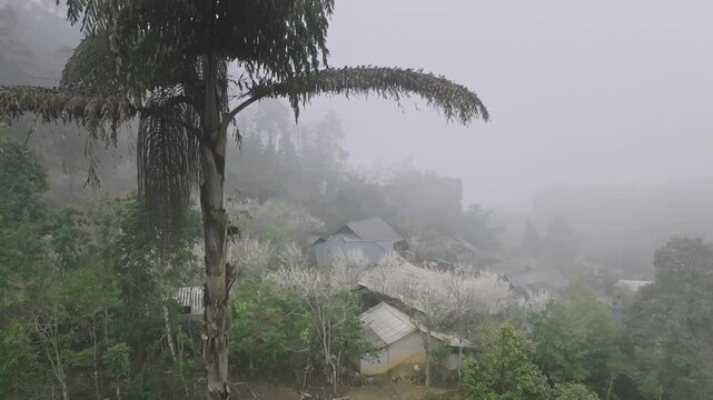 Fog drifts through a lush mountain village in Ta Van Chu, Lao Cai, Vietnam, with traditional homes and tropical foliage creating a serene highland landscape.