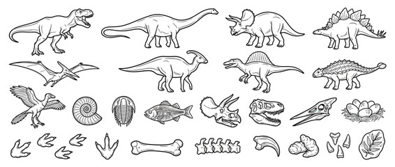 Collection of Hand-Drawn Dinosaur Illustrations and Fossils © ardian