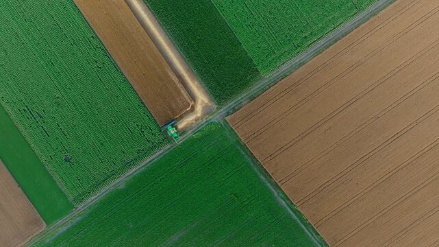 Aerial view of a combine harvester at a crop field edge surrounded by green rows and brown farmland. Rotating top-down drone shot shows geometric field patterns and rural tracks during harvest.