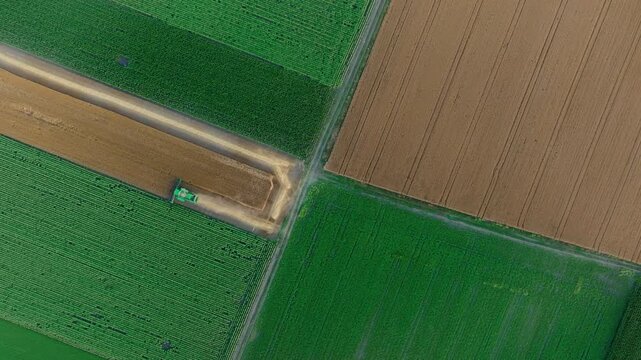 Top-down drone view of a combine harvester working along a crop field beside a rural track. Rotating aerial shot reveals green crop rows, harvested strips and geometric farmland patterns at harvest.
