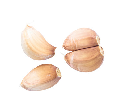 fresh garlic isolated on white background