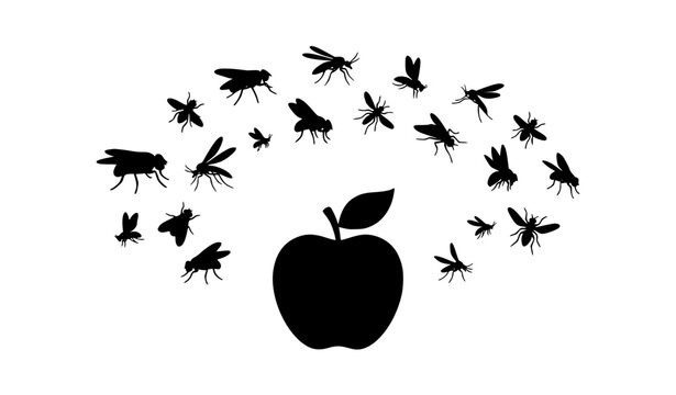 Swarming Flies Flying Above Apple Black Silhouette Illustration