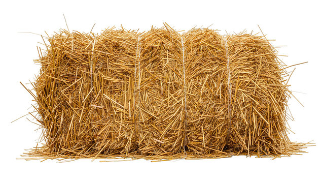Rectangular golden hay bale tied with white twine, isolated on transparent background
