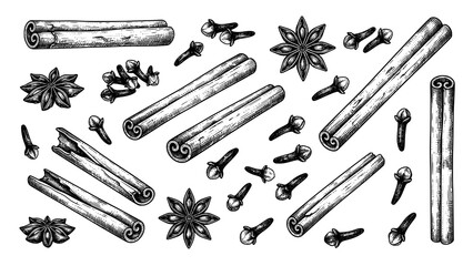 Hand drawn illustration set of cinnamon sticks star anise and cloves spice collection © Tanmoy