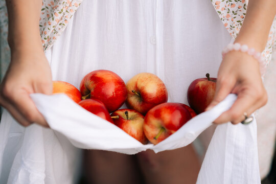 Holding fresh apples in a cloth at a sunny outdoor location during the day