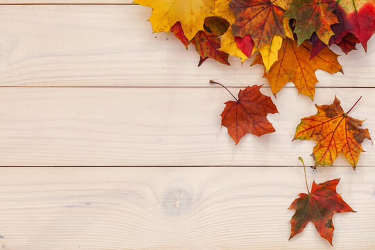 Autumn background with colorful leaves on wooden background