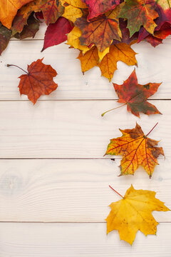 Autumn background with colorful leaves on wooden background