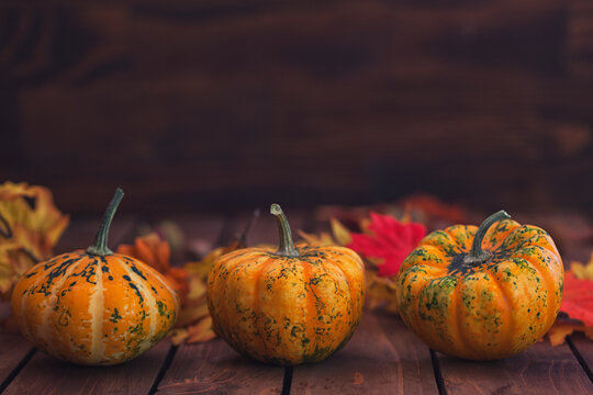 Autumn decorative pumpkins on a wooden background