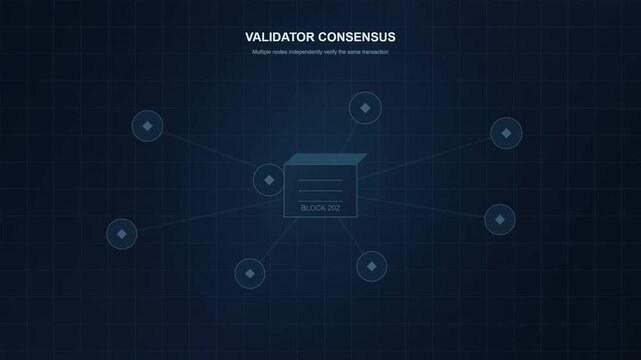 Blockchain consensus and validator verification process infographic