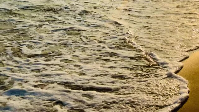Close up slow motion of gentle ocean wave foam on wet sand at golden hour