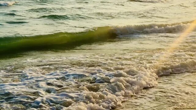 Close up slow motion of gentle ocean wave foam on wet sand at golden hour