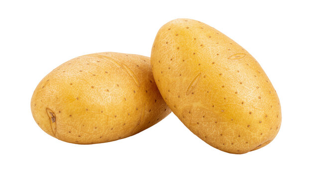 Two oval golden potatoes with brown speckles, isolated on transparent background