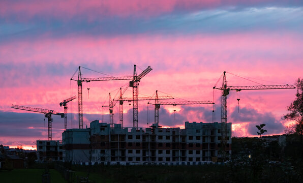 Industrial construction cranes silhouette against dramatic pink and purple sunset sky over building site