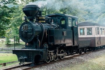 Amemiya 21 steam locomotive running through a forest in Engaru, Hokkaido, Japan © harumachi