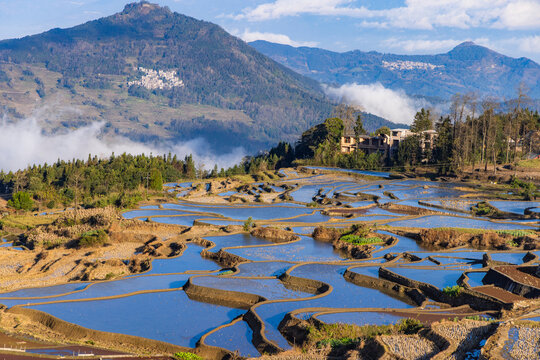 Aerial view of the terraced fields in Yuanyang, Yunnan Province