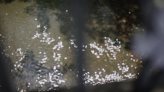 Waterway,Water,Water Surface,Water Droplets,Water Ripples,Ripples,Swaying,Rain,Leaf Cherry Blossoms,Upward Swing,HS