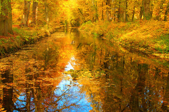 Herbstleuchten